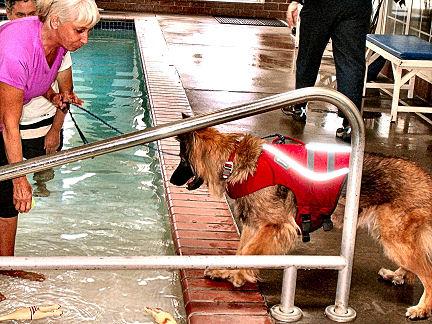 Sable, Paws Aquatic, water therapy, swimming